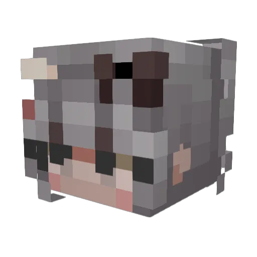 Kaylee0 Minecraft avatar head, 3D render
