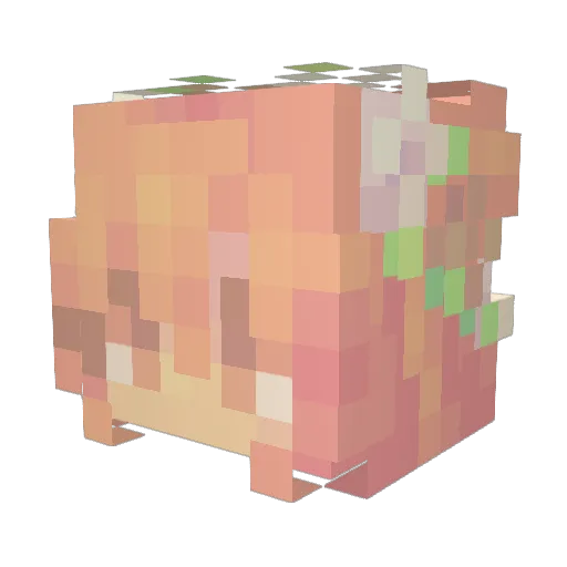 Kaylee19 Minecraft avatar head, 3D render