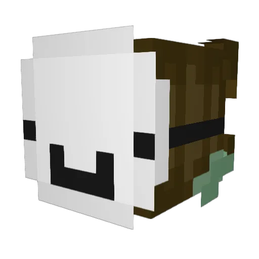 Kaylee_Rodriguez Minecraft avatar head, 3D render