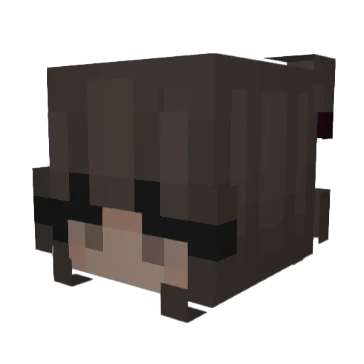 Minecraft-Avatar von Kayleeeeee: Kopf als 3D-Render