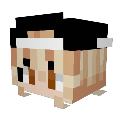 Kayley22311 Minecraft avatar head, 3D render