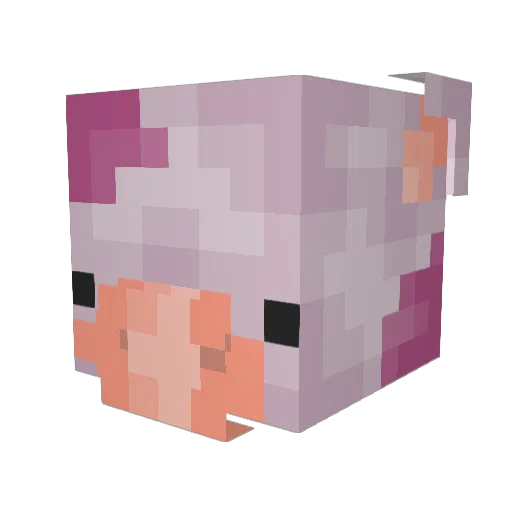 Kaylorlea Minecraft avatar head, 3D render