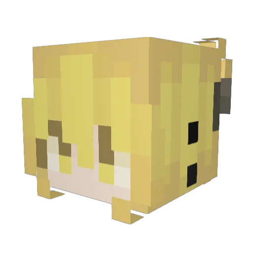 Kayluv1800 Minecraft avatar head, 3D render
