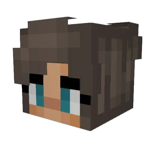 Kaylyn120 Minecraft avatar head, 3D render