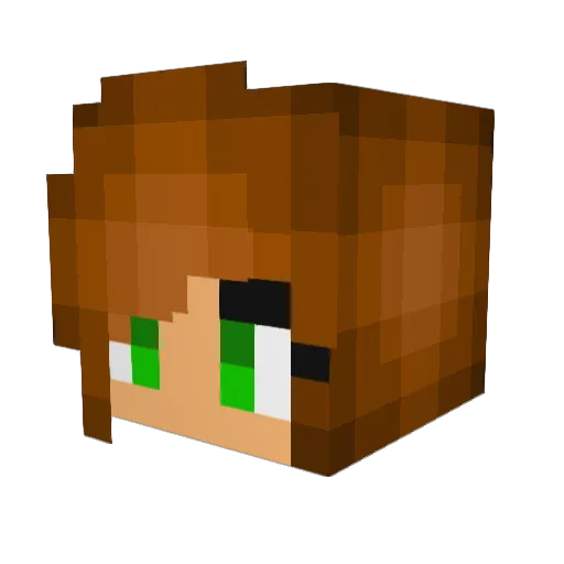 Kaymaxx Minecraft avatar head, 3D render