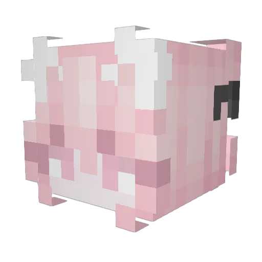 Kaymelia Minecraft avatar head, 3D render