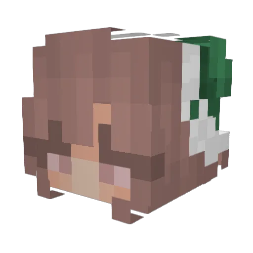 KayoZet Minecraft avatar head, 3D render