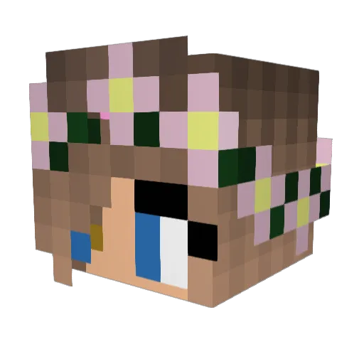 Kayque_ Minecraft avatar head, 3D render