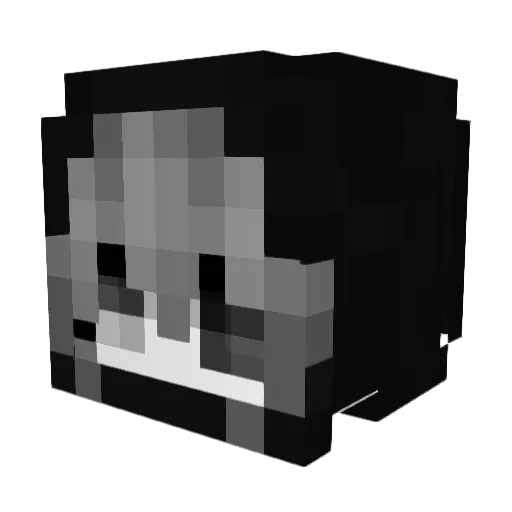 Kayrandomz Minecraft avatar head, 3D render