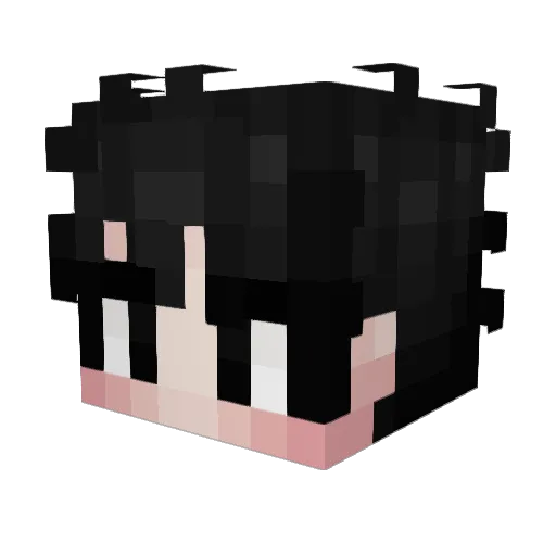 KaysonBRD Minecraft avatar head, 3D render