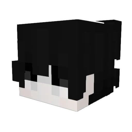 Kaytrr Minecraft avatar head, 3D render