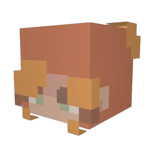 KayuKare Minecraft avatar head, 3D render