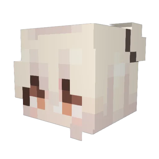 KayyLo Minecraft avatar head, 3D render