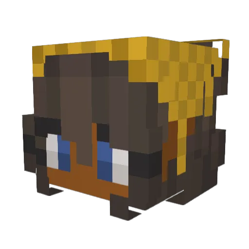 KayyMC Minecraft avatar head, 3D render