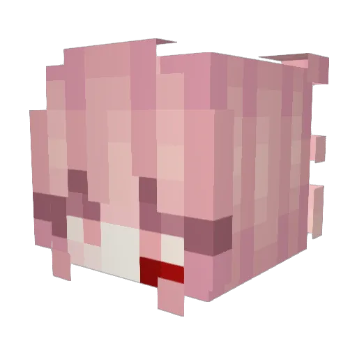 Kayzero Minecraft avatar head, 3D render