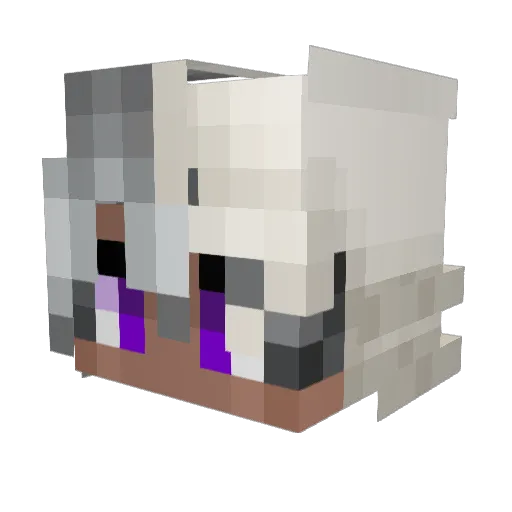 Kayzoor Minecraft avatar head, 3D render