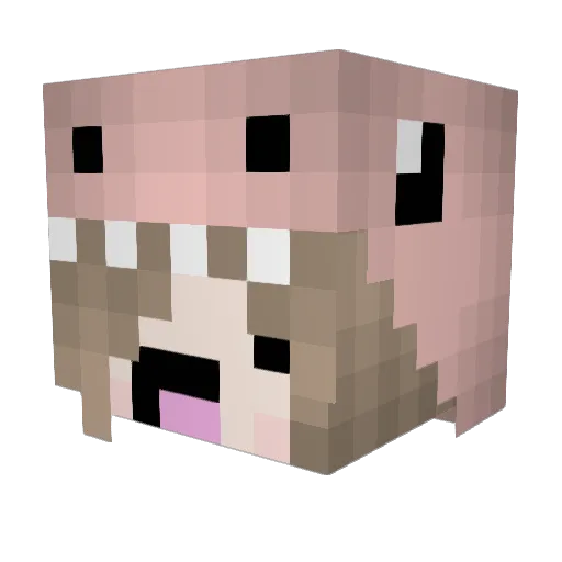 Kaz00kid360 Minecraft avatar head, 3D render