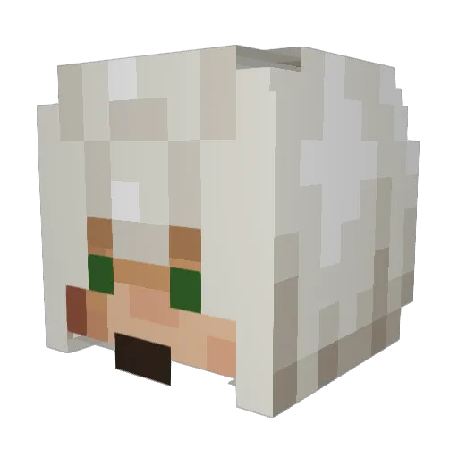 KazTheSlayer Minecraft avatar head, 3D render