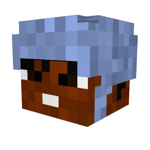 KazakhstanMan69 Minecraft avatar head, 3D render