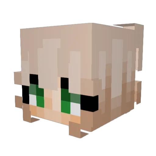Kazjae Minecraft avatar head, 3D render