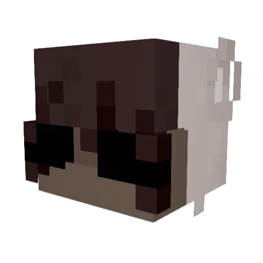 KazuAnarchy Minecraft avatar head, 3D render