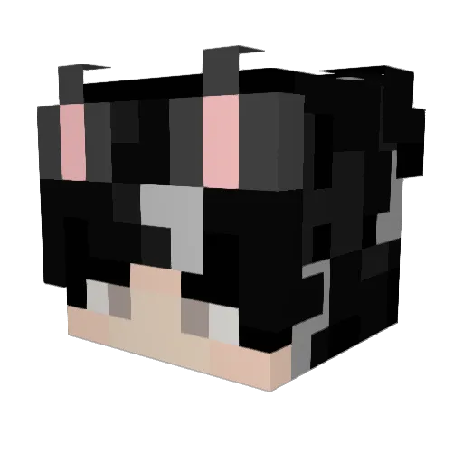 Kazuto228 Minecraft avatar head, 3D render