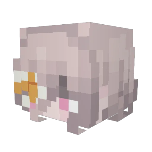 Kazybtw Minecraft avatar head, 3D render