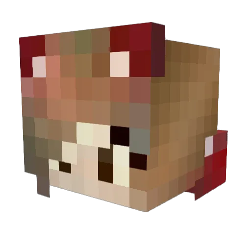 KbDeChezLeclerc Minecraft avatar head, 3D render