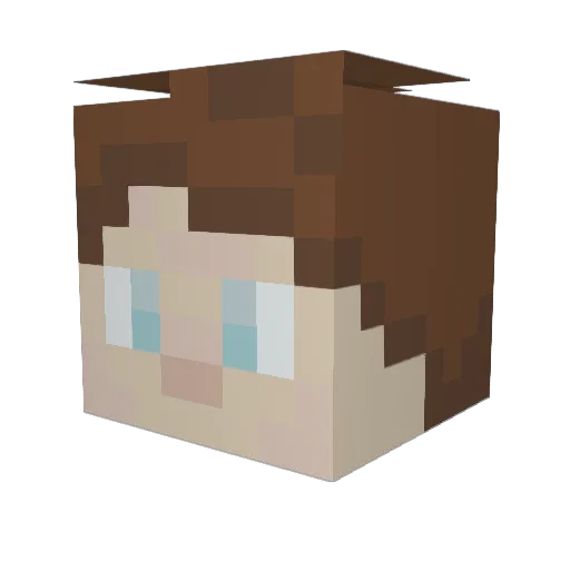 Kbj0j0420 Minecraft avatar head, 3D render