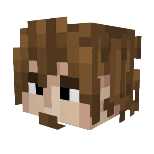 Kblaster00 Minecraft avatar head, 3D render