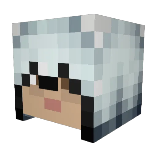 Kboy1725 Minecraft avatar head, 3D render