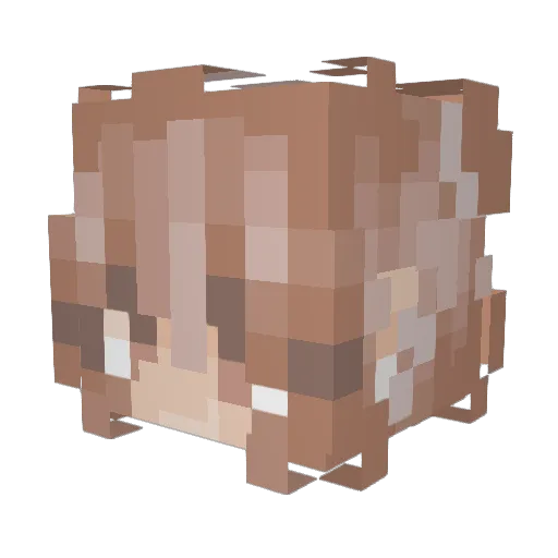 Kbun831 Minecraft avatar head, 3D render