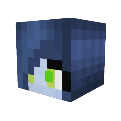 Kddm99 Minecraft avatar head, 3D render