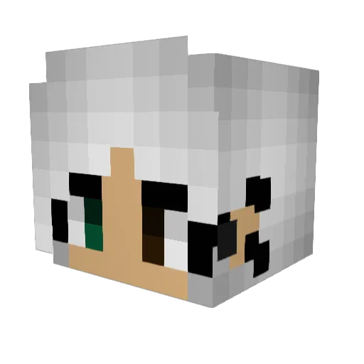 Kdragontmr Minecraft avatar head, 3D render