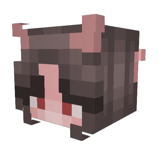 Ke__Ke Minecraft avatar head, 3D render