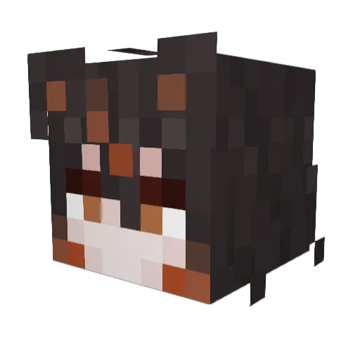 Keagaboo Minecraft avatar head, 3D render