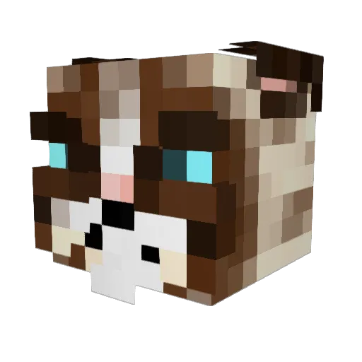 Keeg1234 Minecraft avatar head, 3D render