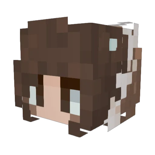 Keegzmcgeez Minecraft avatar head, 3D render