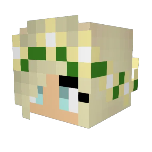 KeeperBug Minecraft avatar head, 3D render