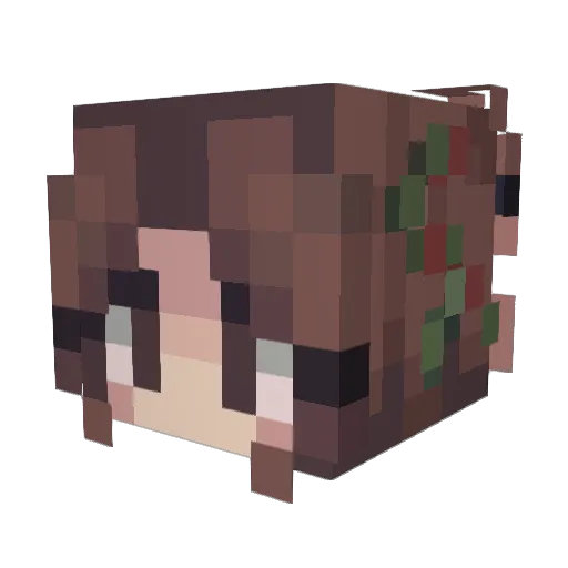 KeesKaar Minecraft avatar head, 3D render