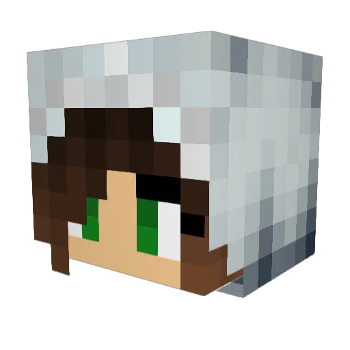 KeeshKeesh Minecraft avatar head, 3D render