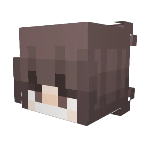 Kefior Minecraft avatar head, 3D render