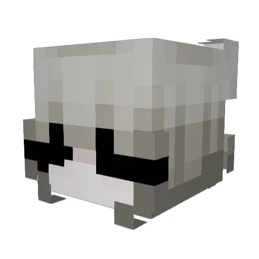 Kegan_ Minecraft avatar head, 3D render