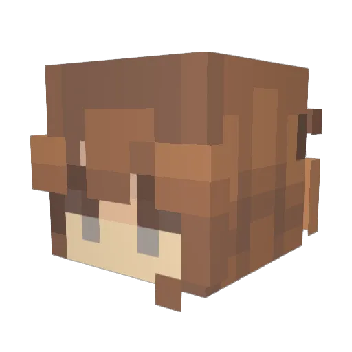 KeiKing8 Minecraft avatar head, 3D render