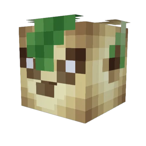 Keifeon Minecraft avatar head, 3D render