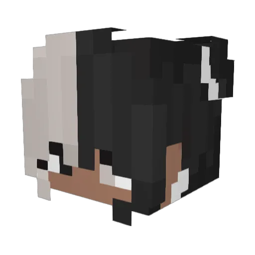 Keiixi Minecraft avatar head, 3D render