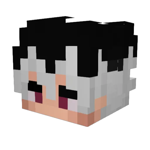 KeinLeben Minecraft avatar head, 3D render
