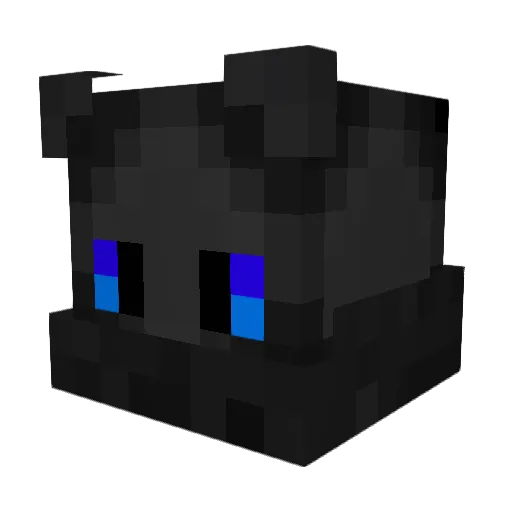 KeinPasswort Minecraft avatar head, 3D render