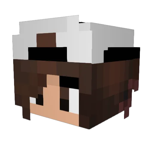 KeinReallife Minecraft avatar head, 3D render