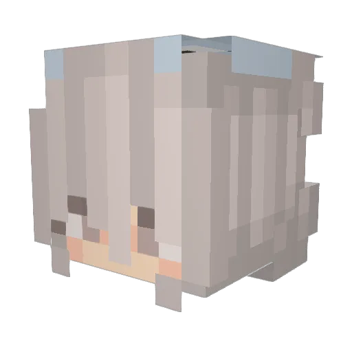 KeineAntwort Minecraft avatar head, 3D render